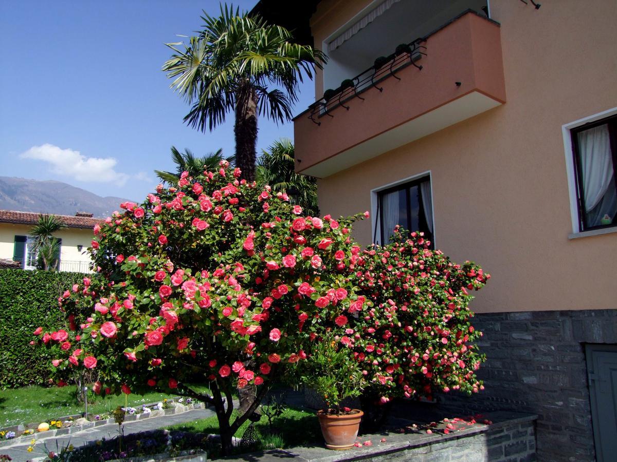 Casa Thuja Apartment